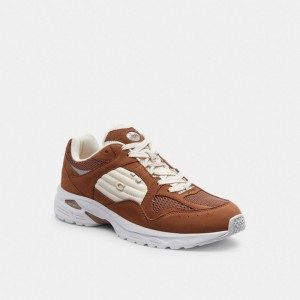 Men Coach C301 Sneakers Brown | CA_CH74819