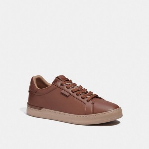 Men Coach Lowline Low Top Sneakers Brown | CA_CH15420