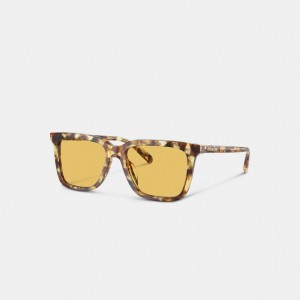 Men Coach Signature Square Honey Sunglasses Orange | CA_CH79706