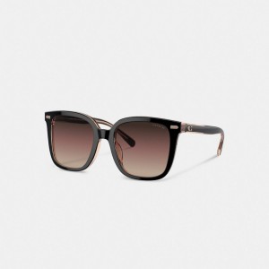 Women Coach Beveled Signature Oversized Square Sunglasses Black / Pink | CA_CH57316