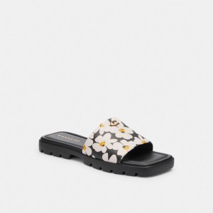 Women Coach Florence With Floral Print Chalk Sandals Multicolor | CA_CH21471