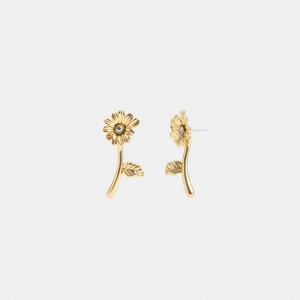 Women Coach Garden Flower Stem Stud Earrings Gold | CA_CH52696