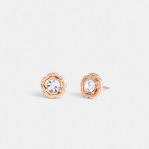 Women Coach Halo Tea Stud Earrings Rose Gold | CA_CH71891