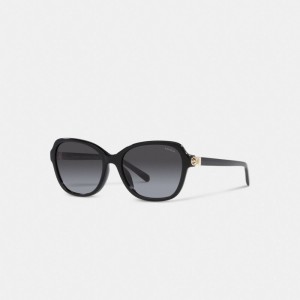 Women Coach Hinged Horse And Carriage Square Sunglasses Black | CA_CH46522