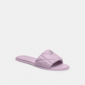 Women Coach Holly With Quilting Soft Sandals Purple | CA_CH73603