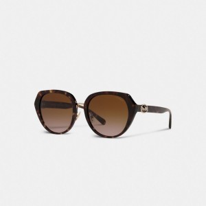 Women Coach Horse And Carriage Oversized Round Sunglasses Black | CA_CH32224