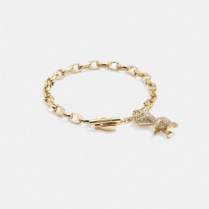 Women Coach Pavé Rexy Signature Chain Bracelets Gold | CA_CH48935