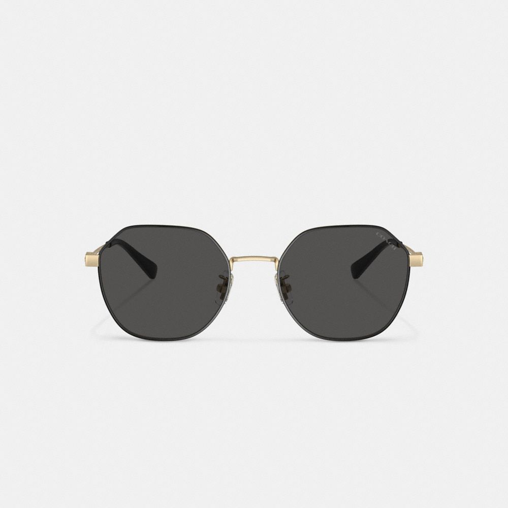 Men Coach Hinged Geometric Round Sunglasses Gold Black | CA_CH56828