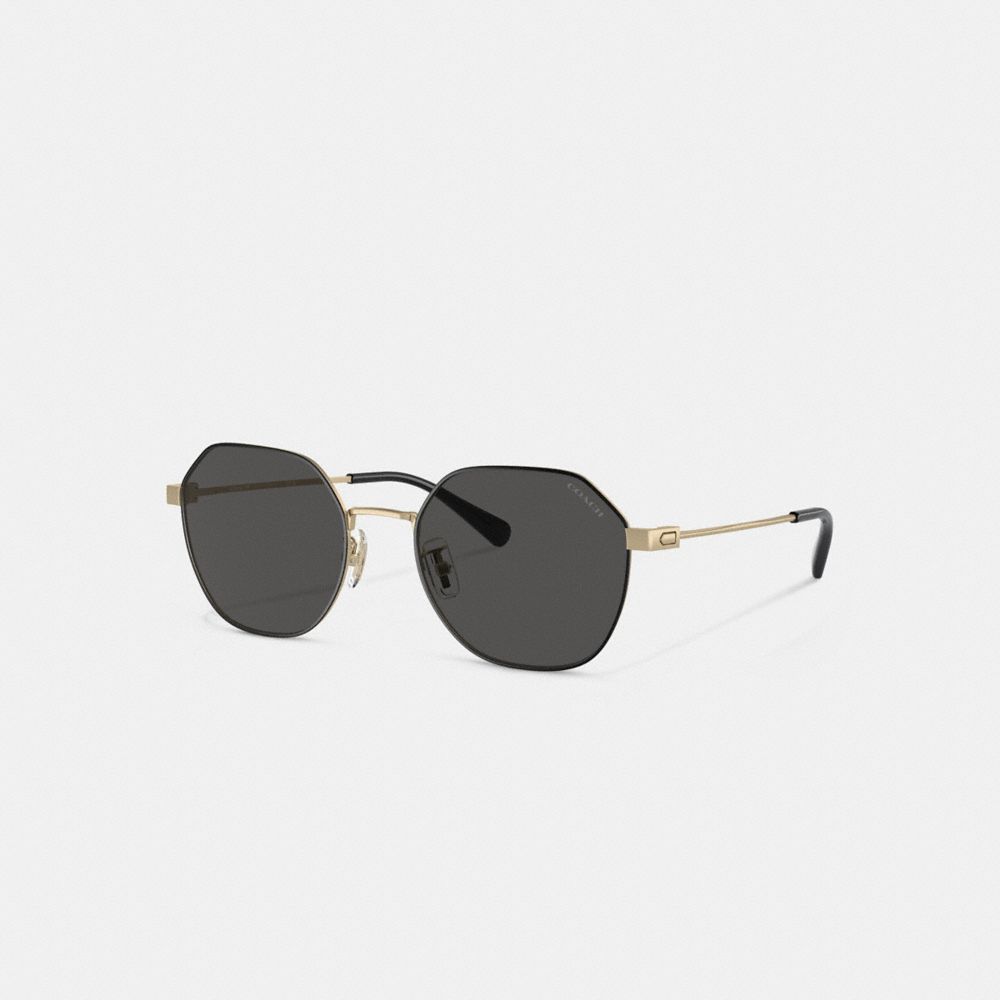 Men Coach Hinged Geometric Round Sunglasses Gold Black | CA_CH56828