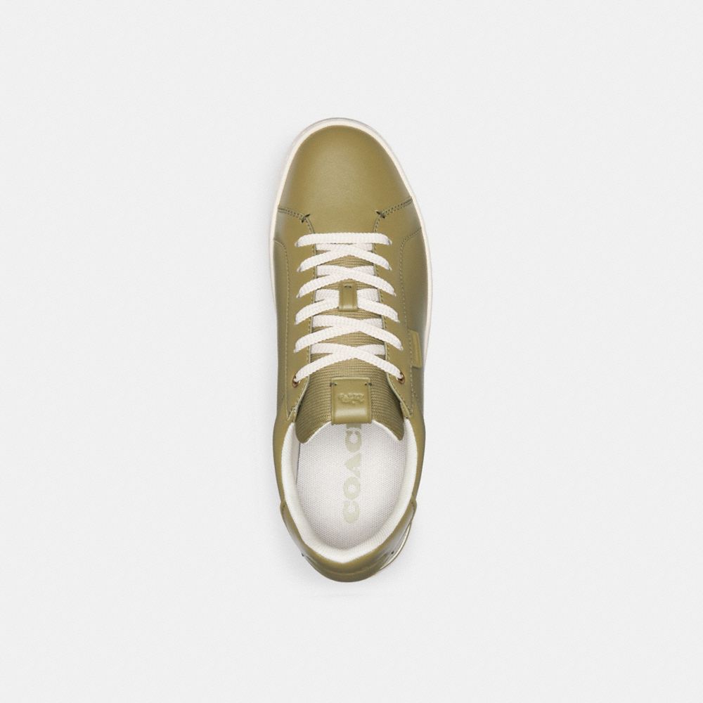 Men Coach Lowline Low Top Moss Sneakers Olive | CA_CH79909