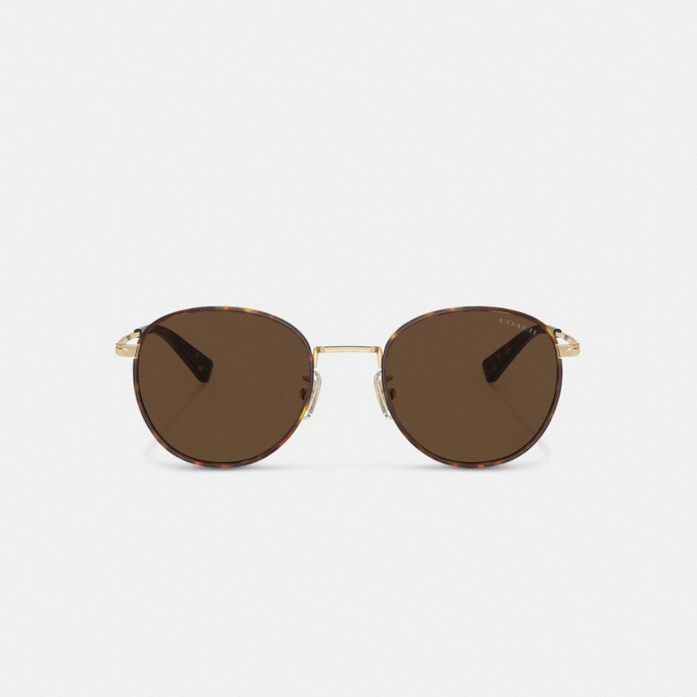 Men Coach Metal Windsor Round Sunglasses Brown / Gold | CA_CH52560