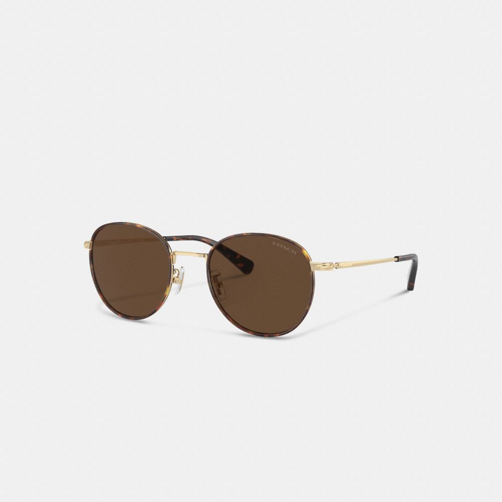 Men Coach Metal Windsor Round Sunglasses Brown / Gold | CA_CH52560