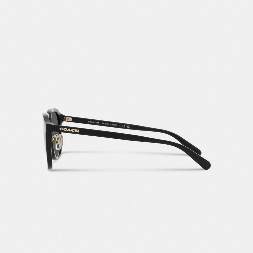 Men Coach Rounded Geometric Sunglasses Black | CA_CH69892