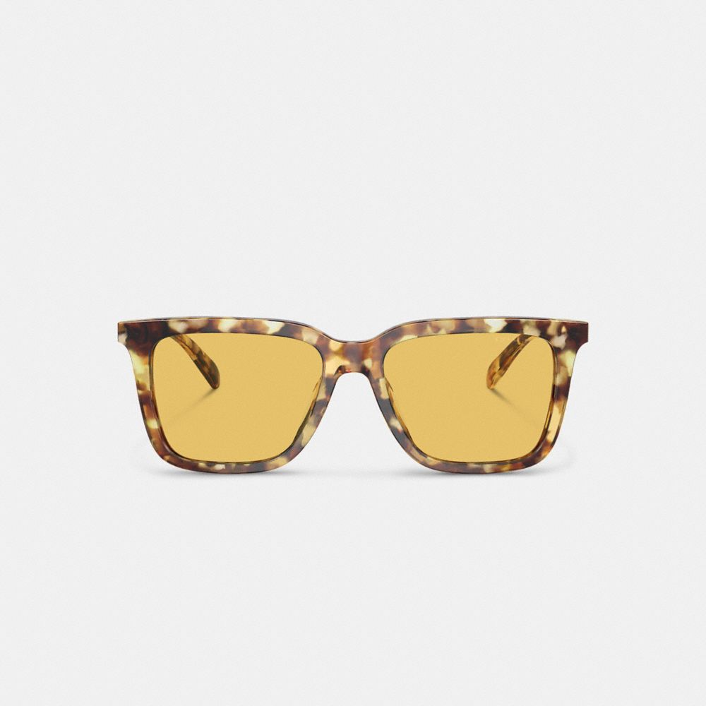 Men Coach Signature Square Honey Sunglasses Orange | CA_CH79706