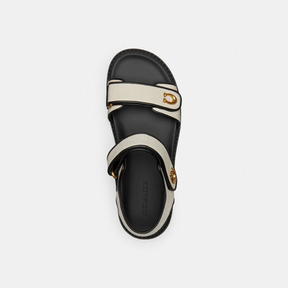 Women Coach Brynn Chalk Sandals Black | CA_CH60571