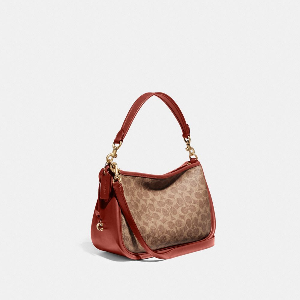 Women Coach Cary In Signature Crossbody Bags Brown / Red | CA_CH97172