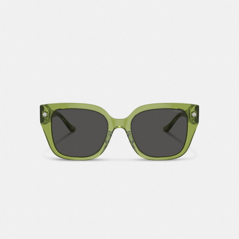 Women Coach Charms Oversized Square Sunglasses Green | CA_CH97415