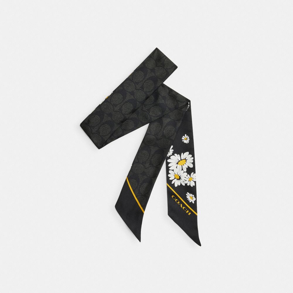 Women Coach Signature Daisy Cluster Print Silk Skinny Scarf Black | CA_CH46381