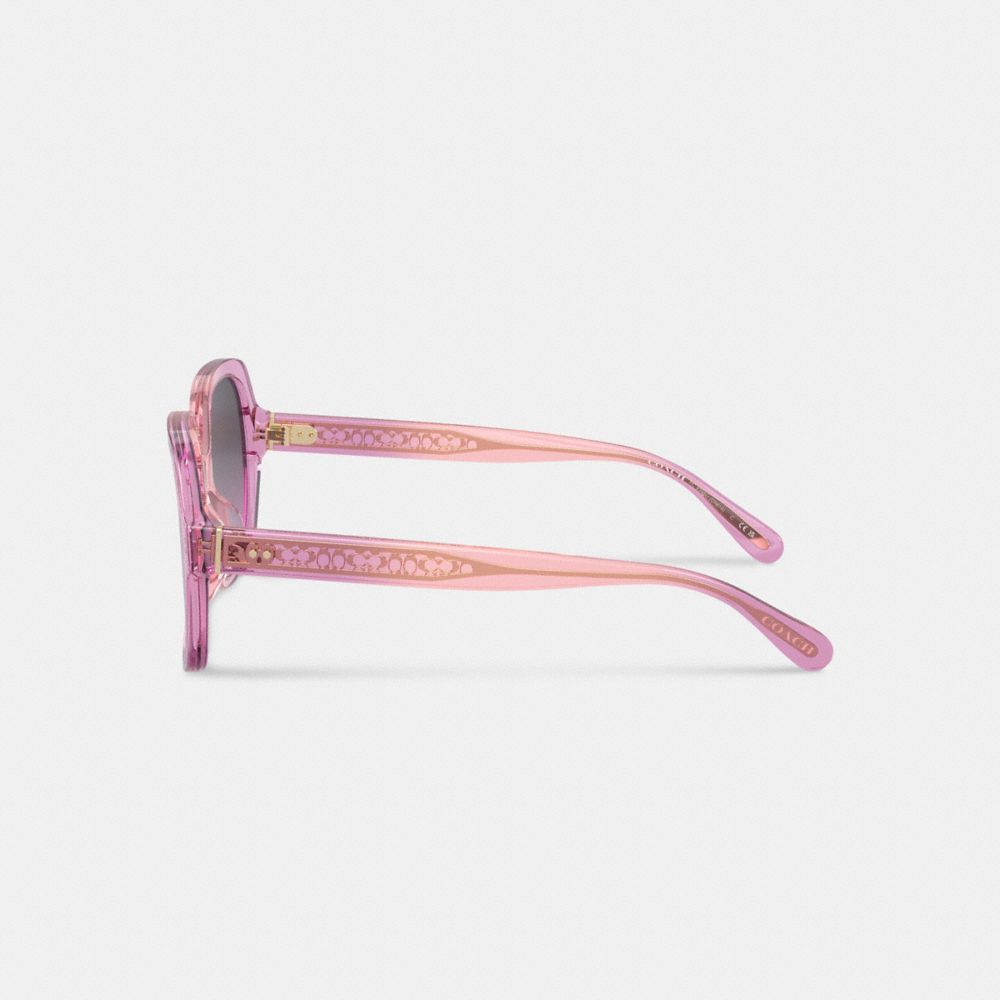 Women Coach Signature Ombré Oversized Square Sunglasses Pink Purple | CA_CH75946