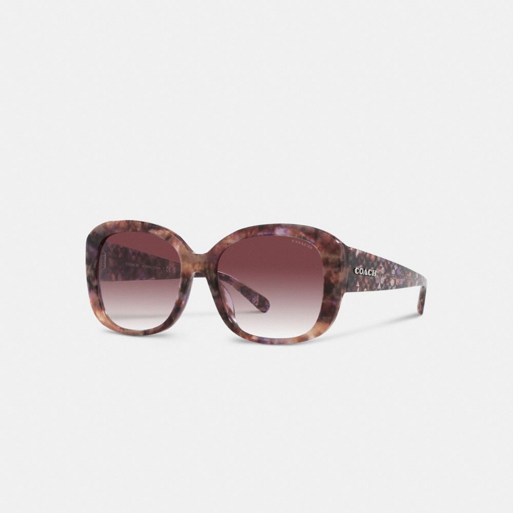 Women Coach Signature Oversized Square Sunglasses Purple | CA_CH15060